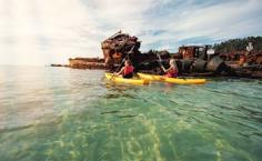 Pelican & Sea Bird Feeding | Tangalooma Resort Activities