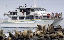 Wildlife Coast Cruises