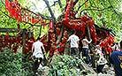 Pictures of Jinli Street, Chengdu