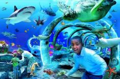 Sea Life London Aquarium Admission Ticket 2019