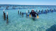 Stunning Sunday Oyster Farm Tour