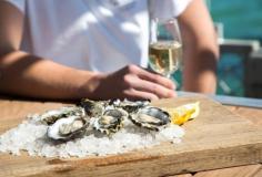 coffin bay oysters