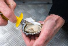 coffin bay oysters