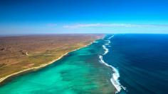 The vast Ningaloo Reef