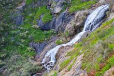 Lesmurdie Falls -