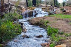 The beautiful creek at cascade falls