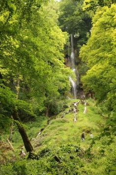 Bad Urach Waterfall