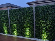 Expandable faux privacy fence https://designerplants.com/collections/expandable-faux-privacy-ivy-fence