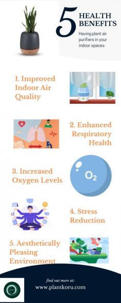 1- Improved Indoor Air Quality: Plant air purifiers help remove pollutants from the air, such as volatile organic compounds (VOCs), formaldehyde, benzene, and other harmful chemicals. This can result in cleaner and fresher indoor air, reducing the risk of respiratory issues and allergies.

2- Enhanced Respiratory Health: By removing airborne pollutants, plant air purifiers can help improve respiratory health. Cleaner air can reduce the chances of developing respiratory conditions like asthma, bronchitis, and other respiratory infections.

3- Increased Oxygen Levels: Plants naturally release oxygen through the process of photosynthesis. By having plant air purifiers, you can increase the oxygen levels in your indoor spaces, which can boost energy levels, concentration, and overall well-being.

4- Stress Reduction: Being in the presence of plants has been linked to reduced stress levels and improved mental well-being. Plant air purifiers can contribute to a calming and relaxing environment, promoting feelings of tranquility and reducing anxiety.

5- Aesthetically Pleasing Environment: In addition to their health benefits, plant air purifiers add natural beauty and visual appeal to indoor spaces. The presence of greenery can enhance the aesthetics of a room, creating a welcoming and soothing ambiance.

It's important to note that while plant air purifiers can offer these benefits, they may not be as effective as dedicated mechanical air purifiers in highly polluted or controlled environments. It's recommended to combine plant air purifiers with other measures like proper ventilation and regular cleaning for optimal results.

Know more at: https://www.plantkoru.com/