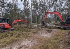 In the heart of Brisbane and throughout SEQ, trees stand tall, providing shade, beauty, and ecological balance. But ensuring they remain robust and healthy requires expertise and dedication. This is where Dynamic Tree Solutions steps in, with a legacy of tree care that has transformed urban landscapes.Specializing in tree trimming and pruning, our team comprises seasoned arborists who understand the unique requirements of Brisbane’s green cover. From the sprawling gardens of South Brisbane to the picturesque landscapes of SEQ, our services have been instrumental in ensuring tree longevity and safety.