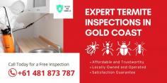 Protect your property from costly damage with professional termite inspections in Gold Coast. At The Pest and Termite Company, our expert team offers thorough termite detection and prevention services to safeguard your home or business. Using advanced techniques, we ensure early detection, providing peace of mind and long-term protection against infestations. Contact us today to schedule a detailed termite inspection and keep your property safe.