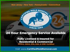 Certified Mold Removal Inc.

Serving the Tri-State Area since 1995, Certified Mold Removal Inc. provides professional mold testing, inspection, removal & remediation services in New Jersey, Eastern PA, Fairfield County CT, Staten Island & Westchester County NY. Licensed, Bonded & Insured. Same Day Mold Tests Available. Call now.

Address: 56 Churchill Street, Freehold, NJ 07728, USA
Phone: 732-934-6499
Website: https://certifiedmoldremoval.com