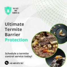 Safeguard your property from the devastating effects of termites with expert termite treatment services in Gold Coast. Our team utilizes the latest techniques and technology to detect and eliminate termites, ensuring complete protection for your home or business. We provide thorough inspections and offer tailored solutions to prevent future infestations. Don’t wait until it’s too late—schedule a free inspection with our experienced pest control experts today!