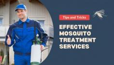 Tired of mosquitoes ruining your outdoor space? The Pest and Termite Company in Gold Coast offers expert mosquito control services to protect your home and business from these pesky pests. Our team uses safe, eco-friendly treatments that target and eliminate mosquitoes at all stages of their life cycle, ensuring long-lasting relief. Whether it’s your backyard or your entire property, we provide customized solutions to keep mosquitoes away and restore your comfort. Don’t let mosquitoes take over – contact us today for reliable, professional mosquito treatment services.