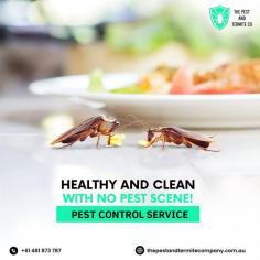 Say goodbye to cockroaches with The Pest and Termite Company, your trusted pest control expert in Gold Coast. Our professional team specializes in effective cockroach treatments, using safe and eco-friendly methods to eliminate these troublesome pests from your home or business. Whether you’re dealing with a small infestation or a large-scale issue, we provide targeted solutions to ensure long-lasting protection. Don’t let cockroaches invade your space—contact us today for thorough, affordable treatment that restores comfort and cleanliness to your environment.