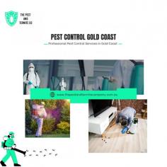 Looking for reliable pest control services in Gold Coast? The Pest and Termite Co. offers effective solutions to protect your home or business from unwanted pests. Our experienced team uses safe and eco-friendly methods to eliminate termites, ants, cockroaches, rodents, and more. Trust us to provide comprehensive inspections, treatments, and ongoing prevention for lasting peace of mind. Visit us today to learn how we can safeguard your property! Know more - https://thepestandtermitecompany.com.au/pest-control-services-gold-coast/