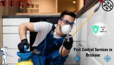 Say goodbye to unwanted pests with our expert pest control services in Brisbane. We provide safe, effective, and eco-friendly solutions for homes and businesses, ensuring a pest-free environment. From termites to rodents, trust us to handle all your pest problems with professionalism and care. Book your service today for peace of mind! Know more - https://thepestandtermitecompany.com.au/pest-control-services-brisbane/