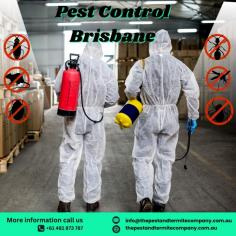 Looking for professional pest control services in Brisbane? The Pest and Termite Company offers expert solutions to eliminate pests efficiently and safely. Whether it's termites, ants, spiders, or other unwanted visitors, our experienced team provides tailored treatments to protect your home or business. With a commitment to quality and customer satisfaction, we ensure your space remains pest-free. Trust The Pest and Termite Company for reliable, effective, and eco-friendly pest management solutions in Brisbane. Know more - https://thepestandtermitecompany.com.au/pest-control-service-brisbane/