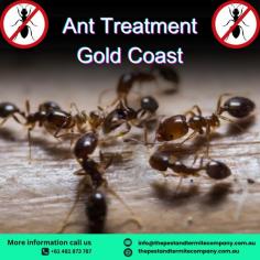 Protect your home or business in Gold Coast from invasive ants with our expert ant treatment services. We provide safe, effective, and eco-friendly solutions tailored to eliminate ant infestations and prevent their return. Contact us today for reliable and affordable pest control!