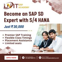 Drive your sales and distribution processes with SAP SD Module. Seamlessly integrate with SAP MM, PP, and FICO Modules for a complete sales cycle solution. Upgrade to SAP SD S/4 HANA Module for improved speed and real-time data processing.
Learn More : https://www.uniterpacademy.com/