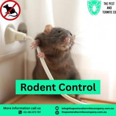 Protect your home or business from rodents with The Pest and Termite Co.’s expert rodent treatment services. We provide safe, effective, and long-lasting rodent control solutions across Australia, ensuring your property remains pest-free. Our team uses advanced techniques to eliminate rats and mice while preventing future infestations.